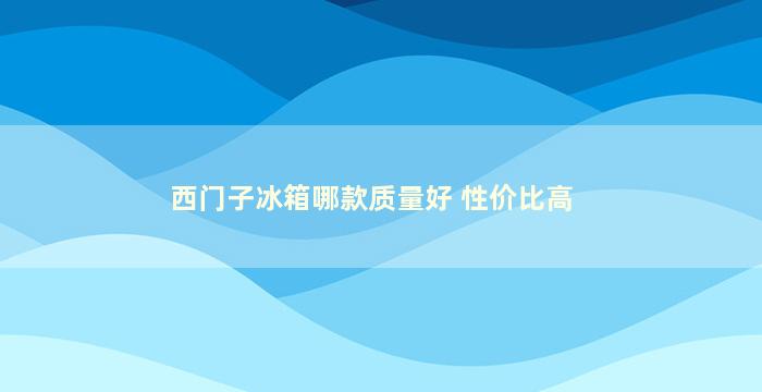 西门子冰箱哪款质量好 性价比高